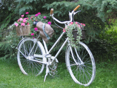 img4.gif